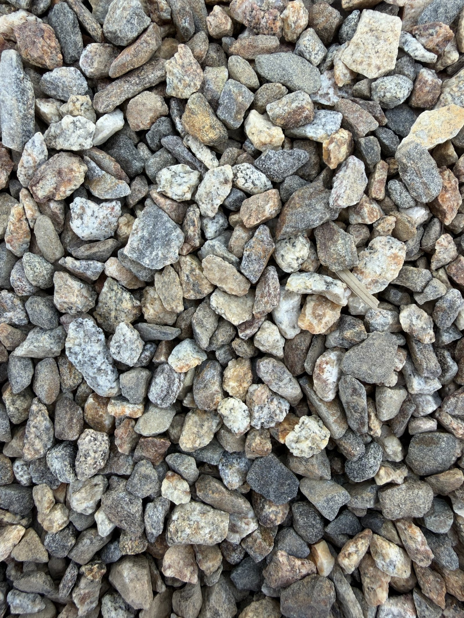 LaCresta Large
